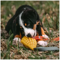 Loesdau Hundespielzeug<PRENGER Hundepiezeug ango