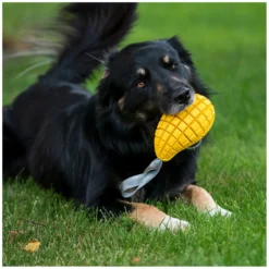 Loesdau Hundespielzeug<PRENGER Hundepiezeug ango