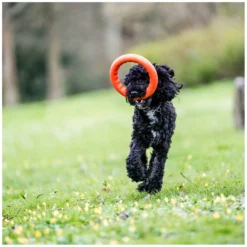 SPRENGER Hundespielzeug<Wurfring