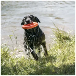 SPRENGER Hundespielzeug<Wurfring