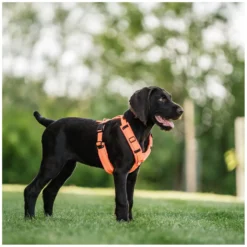 SPRENGER Hundegeschirre<Y-Hundegechirr 2.0, refektierend