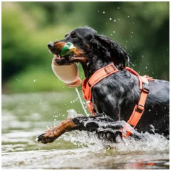 SPRENGER Hundegeschirre<Y-Hundegechirr 2.0, refektierend