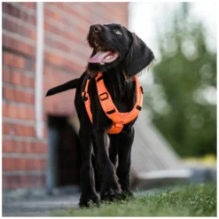 SPRENGER Hundegeschirre<Y-Hundegechirr 2.0, refektierend