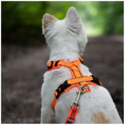 SPRENGER Hundegeschirre<Y-Hundegechirr 2.0, refektierend