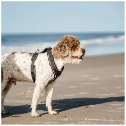 SPRENGER Hundegeschirre<Y-Hundegechirr 2.0, refektierend