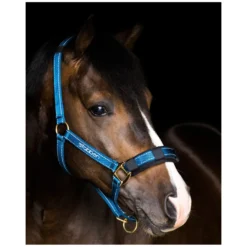 Stübben Halfter<Stallhalfter