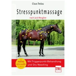Loesdau Bücher & Multimedia<Stresspunktmassage nach Jack Meagher