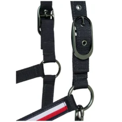 TOMMY HILFIGER EQUESTRIAN Halfter|Führstricke<Halfter mit Führstrick Lexington