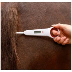 Loesdau Stallapotheke<WALDHAUSEN Digital-Fieberthermometer für Pferde