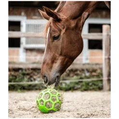 Loesdau Heunetze<WALDHAUSEN Heuball