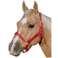 WEAVER Halfter<LEATHER Halfter Original Non-Adjutable